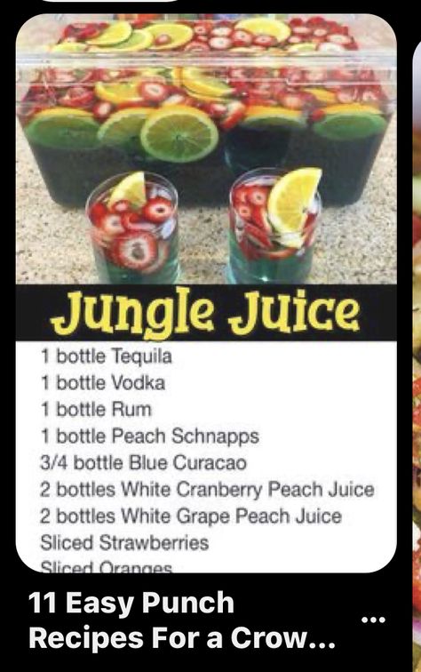 Hunch Punch Recipe, Punch Nonalcoholic, Best Jungle Juice Recipe, Punch Recipes For A Crowd, Easy Jungle Juice, Hunch Punch, Juice Punch, Simple Drinks, Jungle Juice Recipe