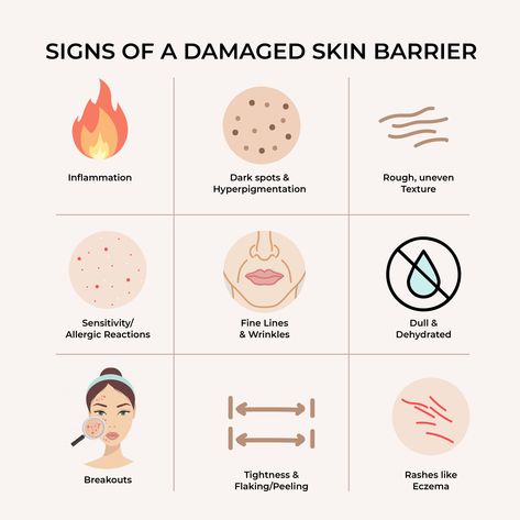 Damaged Skin Barrier, Skin Facts, Esthetician Marketing, Skin Advice, Skin Science, Skin Clinic, Skin Issues, Dehydrated Skin, Skin Barrier