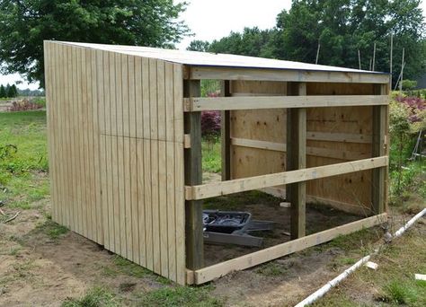 Building Shelter for Miniature Donkeys or Goats. Alpaca Enclosure, Donkey Enclosure, Donkey Pen, Donkey Shelter, Goat Pens, Backyard Nursery, Donkey Care, Mini Donkeys, Shelter House