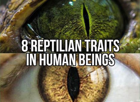 Reptilian People, Human Dna, Bad People, Witchcraft Spell Books, Shocking Facts, Aliens And Ufos, Good And Bad, Bad Person, Ancient Aliens