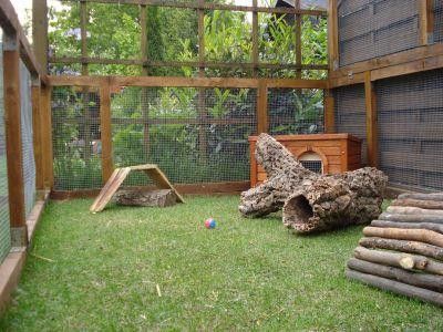 Gallery of recommended rabbit housing | Rabbit hutch photos | Pictures of alternative living areas for bunnies Rabbit Playground, Cat Playground Outdoor, Rabbit Enclosure, Rabbit Habitat, Meat Rabbits, Bunny Hutch, Bunny Room, Raising Rabbits, Rabbit Cages