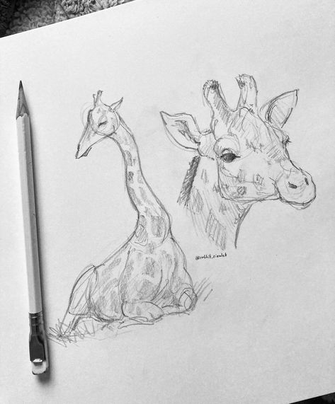 Cute Quick Sketches, Giraffe Drawing Sketches, Giraffe Sketch, Animals Sketch, Giraffe Drawing, Rabbit Drawing, Animal Drawings Sketches, Sketchbook Drawings, Arte Inspo