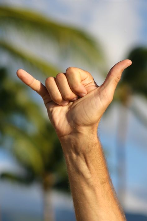 Originating in Hawaiʻi, the shaka sign, also known as the ‘hang loose’ gesture, has evolved into many variations. Shaka Sign, Hawaii Magazine, Hawaiian Music, Copy Cats, Aloha Vibes, Ceramics Inspiration, Hawaiian Culture, Collage Phone Case, Hawaii Life