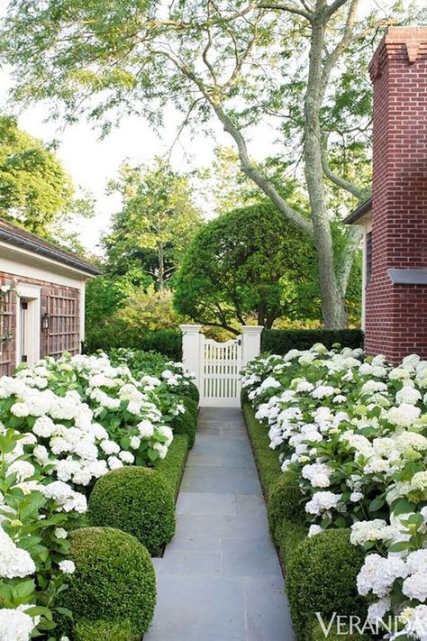 Slide 14: Dreamy Hydrangeas Landscape Designs, Formal Gardens, Desain Lanskap, Hydrangea Garden, Formal Garden, Have Inspiration, The Secret Garden, White Gardens, Gorgeous Gardens