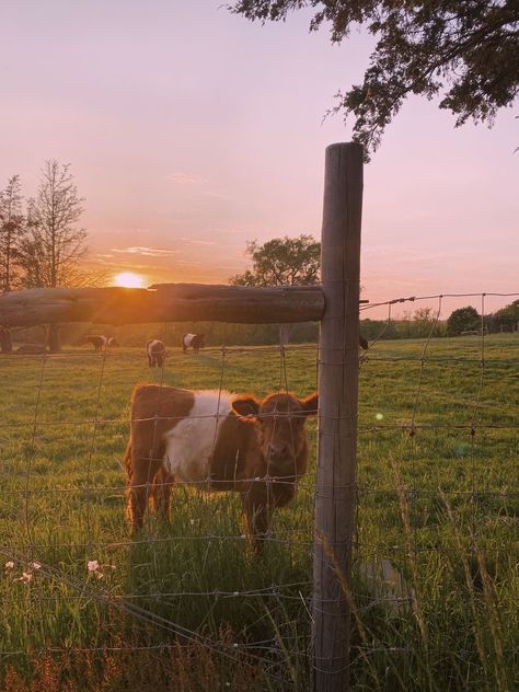 Future Farms, Farm Lifestyle, Living Off The Land, Western Aesthetic, Ranch Life, Small Farm, Country Farm, Take Me Home, City Aesthetic