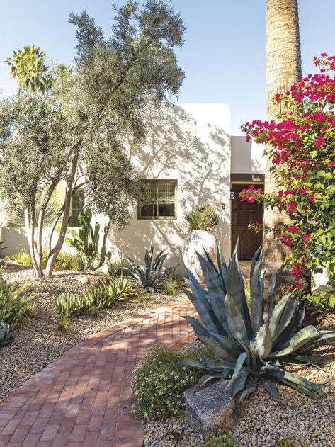 A Smaller Home Becomes a Functional Dream for a Local Interior Designer - Phoenix Home & Garden Phoenix Home And Garden, Phoenix Backyard, Arizona Backyard Landscaping, Oasis Springs, Desert Gardens, Arizona Backyard, Desert Trees, Antique Brick, Backyard Garden Landscape