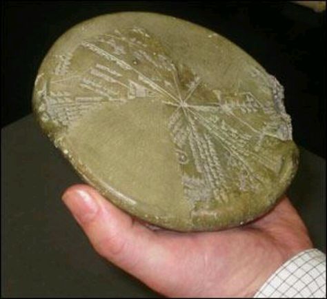 Hmmmmm Clay Tablet, Planet Nibiru, Space Map, Bristol University, Ancient Astronaut, Ancient Mesopotamia, Ancient Books, Ancient Mysteries, Ancient Aliens