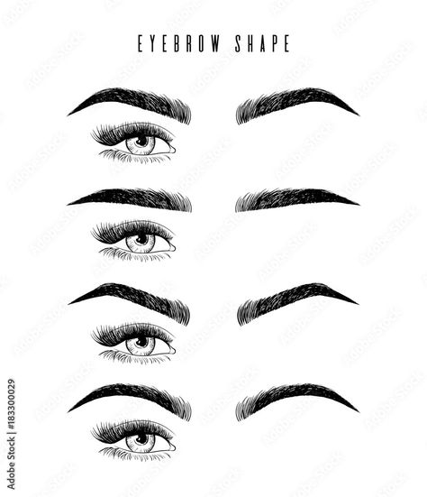 Eyebrows Shape, Types Of Eyebrows, Makeup Brush Uses, Eyebrow Shapes, Brows Makeup, Makeup Eyebrows, Makeup And Beauty Blog, Eyebrow Shape, Brow Makeup