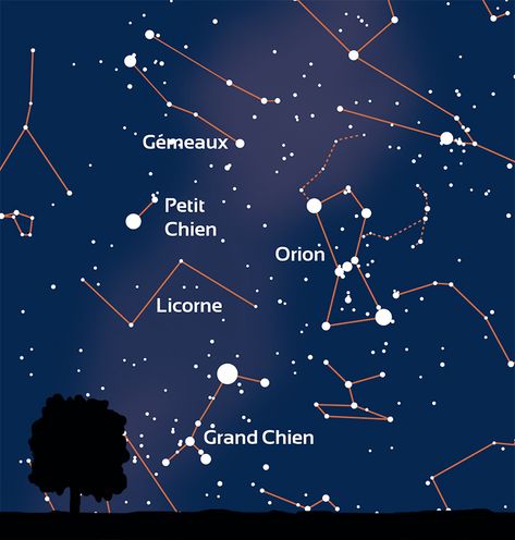 Sans discussion, la constellation d’Orion est la vedette des nuits d’hiver. Le sablier formé par ses sept étoiles les plus brillantes rend son repérage aisé. Autour de cette forme caractéristique, l’arc d’étoiles formant le bouclier du chasseur est facile à localiser, les astres matérialisant son bras droit levé l’étant un peu moins (pointillés sur la carte). Crédits : Carine Souplet, Stelvision La Source, Bright Stars, Night Skies, Astronomy, Constellations, Astrology, Wallpapers, Stars, Drawings