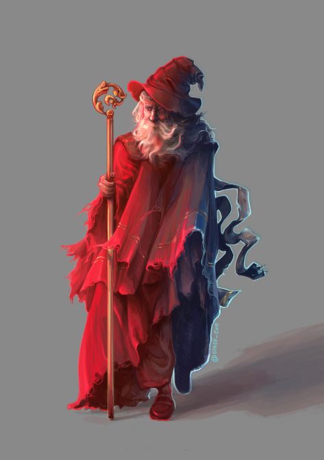 Red Wizard, Marta Duda-Żarczyńska on ArtStation at https://www.artstation.com/artwork/0XaeOe Wizard Core, Mage Art, Red Wizard, Black Wizard, Evil Characters, Male Character Design, Dnd Miniatures, Fantasy Pictures, Dungeons And Dragons Homebrew