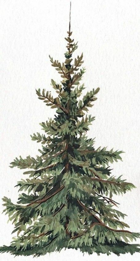 Christmas Tree Drawing Illustration, Winter Drawing Wallpaper, Christmas Tree Drawing Aesthetic, Christmas Tree Wallpaper Iphone, Vintage Christmas Prints, Paper Napkin Folding Ideas, Pine Watercolor, Elf Drawing, Welcome Back Elf