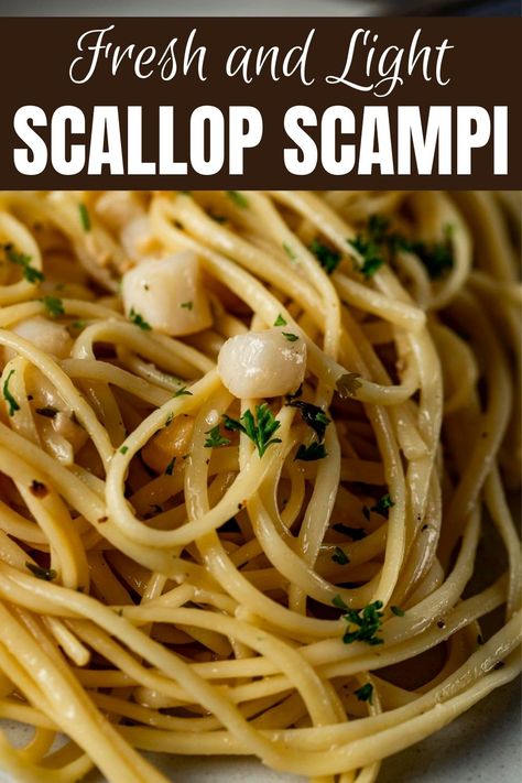 Scallop Pasta Recipe Healthy, Scallops And Linguine, Scallops And Angel Hair Pasta, Pasta Scallops Recipe, Scallop Linguine Recipes, Scallop Scampi Recipe, Sauce For Scallops, Scallops And Pasta, Scallop Linguine