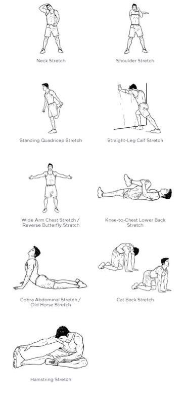 Pre and post workout stretches Build Your Own Workout, After Workout Stretches, Rock Workout, Pre Workout Stretches, Abdominal Stretches, Workout Stretches, Post Workout Stretches, Stretch Routine, Exercise Inspiration