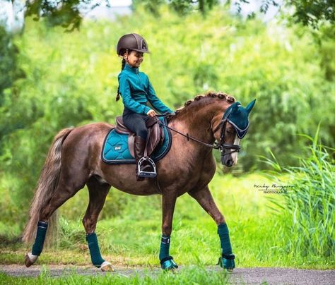 Kids Horse Riding, Mini Horse Tack, Hunter Jumper Horses, Pony Rider, Horse Riding Outfit, Show Jumping Horses, Pony Breeds, Welsh Pony, Horse Brand