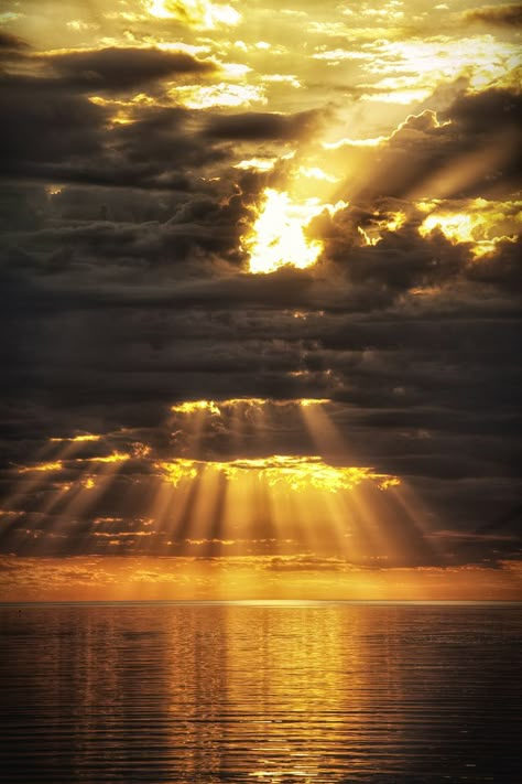 Golden rays moment love via Wild Fauna Love Rays Of Light, Beautiful Skies, Sunrises And Sunsets, Sunsets And Sunrises, Amazing Sunsets, Jolie Photo, 판타지 아트, Alam Yang Indah, Chiaroscuro