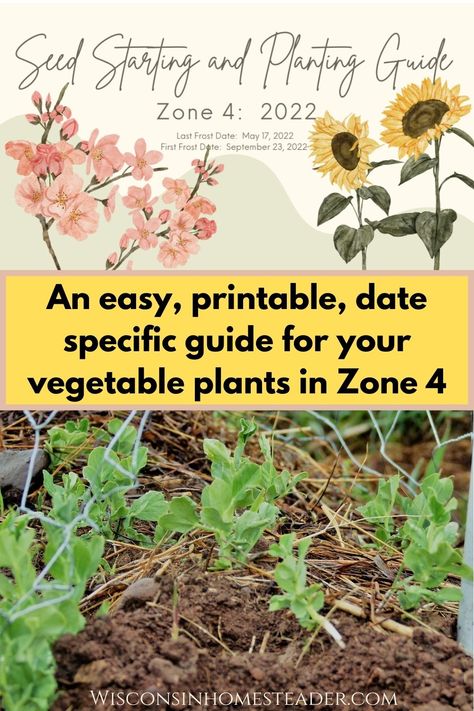 Planting Seeds Outdoors, Seed Starting Schedule, Starting Flowers From Seeds, Spring Planting Guide, Seed Planting Guide, When To Plant Seeds, Homestead Tips, What To Plant When, Planting Schedule