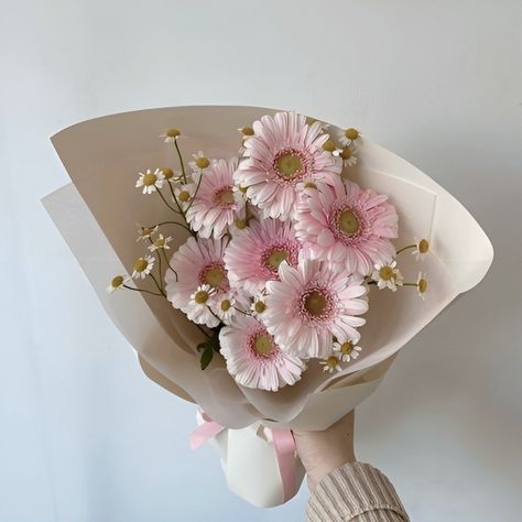 #flowers #flower #aesthetuc #ramo #flores #korean #asia #koreanflowers #floral #floral #pastel #pastelcolor Nature, Pink Gerbera Daisy Bouquet, Gerbera Daisy Bouquet Aesthetic, Gerbera Daisy Aesthetic, Gerbera Flower Bouquet, Gerberas Bouquet, Minimalist Flower Bouquet, Gerber Daisy Bouquet, Gerbera Daisy Bouquet