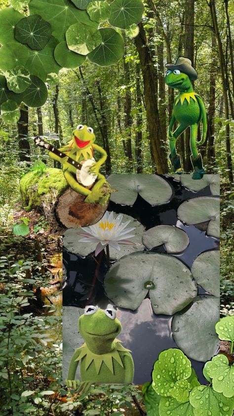 Muppets Kermit the Frog in a swamp setting dressed as a cowboy and with a banjo and just his face! Kermit The Frog Wallpaper, Swamp Background, Frog Wallpaper, Kermit The Frog, A Log, The Frog, Just Relax, Banjo, Cowboy