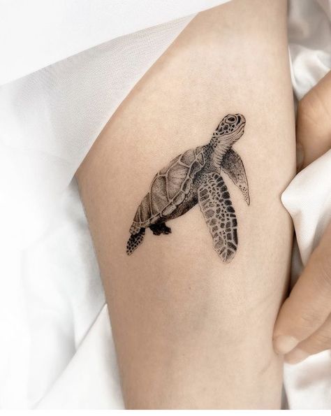 Tropisches Tattoo, Tattoo Turtle, Beachy Tattoos, Turtle Tattoos, Sea Turtle Tattoo, Turtle Tattoo Designs, Shark Tattoos, Turtle Tattoo, Elephant Tattoos