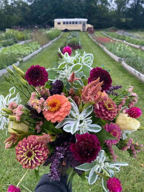 How Many Flowers Should I Grow on My Farm? — Lynsey Taulbee Farmhouse Bouquet Ideas, Flower Farm Rows, Flower Farm Name Ideas, Flower Farm Bouquets, Flower Farm Names, Roadside Flower Stand Ideas, You Pick Flower Farm, Flower Farm Branding, Cut Flower Bouquet Ideas