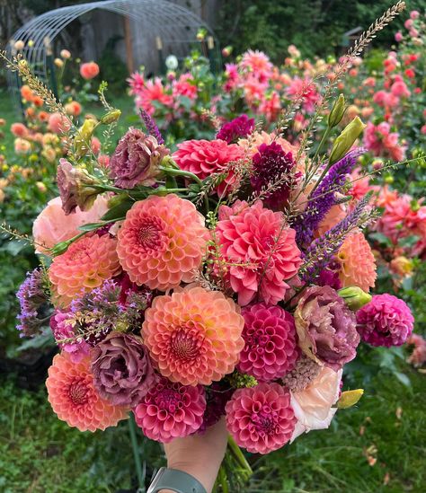 3 bouquets today: different vibes so I’d love to know the one that you love the best! And then a handful of dahlias that I’m loving. In… | Instagram Dahlia Flower Arrangements, Zinnia Bouquet, Dahlia Wedding Bouquets, Different Vibes, Dahlias Wedding, Flower Boquet, Dahlia Bouquet, Flower Farmer, Cut Flower Garden