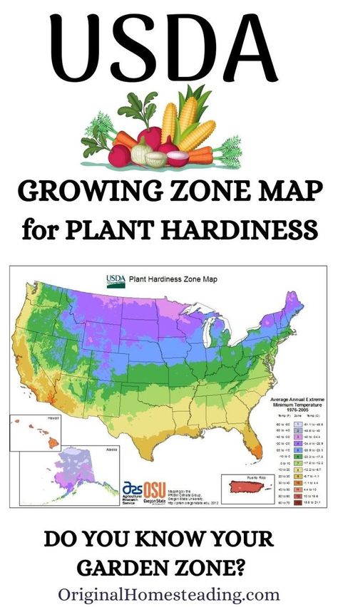 Growing Zones Map, Gardening Zone Map, Medical Garden, Map Of The Usa, Fall Crops, Plant Hardiness Zone Map, Gardening Zones, Plant Zones, Garden Kit