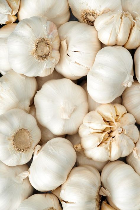 Garlic - Hardneck vs. Softneck, The Best Type for Your Garden – Our Country Life Baltimore Food, Fire Cider Recipe, Kidney Friendly Diet, Hardneck Garlic, Garlic Health Benefits, Garlic Benefits, Natural Disinfectant, Fire Cider, Reducing High Blood Pressure