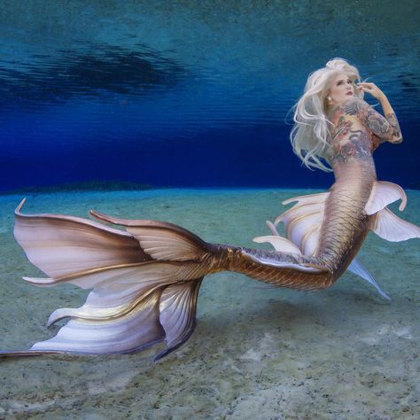 Gold Mermaid Tail, Swimmable Mermaid Tail, Realistic Mermaid, Mermaid Photography, Silicone Mermaid Tails, Mermaid Kisses, Life Under The Sea, Gold Mermaid, Mermaid Swimming