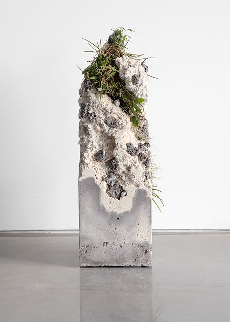 Terraforms 2014 on Behance Jamie North, Moss Growing, Decoration Beton, Concrete Sculpture, Australian Plants, Concrete Art, 수채화 그림, Sculpture Installation, Land Art