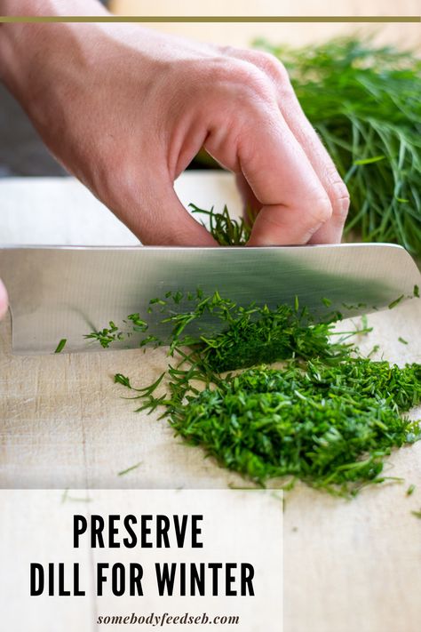 How To Make Dill Paste, Dry Dill How To, Dried Dill Recipes, Dill Paste Recipe, How To Keep Dill Fresh In Fridge, How To Dry Fresh Dill, Freezing Fresh Dill, Things To Make With Dill, Preserved Food Recipes