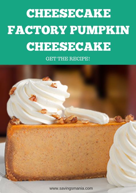 Cheesecake Factory Pumpkin Cheesecake Copycat Recipe - Recipes - SavingsMania Cheesecake Factory Pumpkin Cheesecake, Slice Of Cheesecake, Dessert Halloween, Cheesecake Factory Recipes, The Cheesecake Factory, Pumpkin Cheesecake Recipes, Cheesecake Dessert, Cheesecake Factory, Oreo Cheesecake