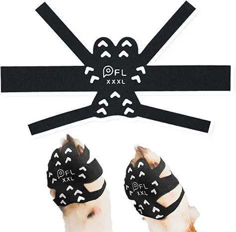 Amazon.com : anti slip dog shoes Pet Sanctuary, Dog Paw Care, Paw Care, Puppy Time, Brick Background, Dog Boots, Dog Diapers, Dog Shoes, Dog Costumes