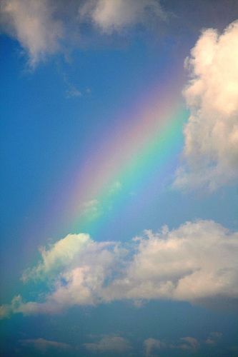 Rainbow! Sign that God will never flood the whole earth again!  God's promises are always beautiful.... Rainbow Rain, God's Promise, Rainbow Sky, No Rain, Love Rainbow, Sky And Clouds, Beautiful Rainbow, Beautiful Sky, Nature Landscape