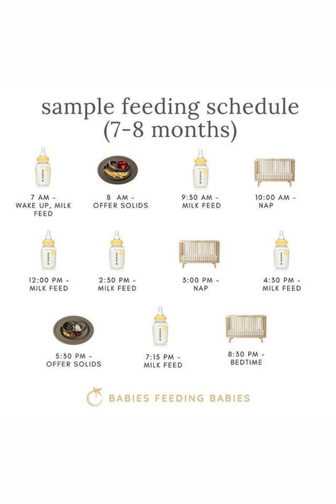 Sample Feeding Schedule 9 Month Old, 4 Month Old Feeding Schedule With Purees, Food Schedule For 4 Month Old, Seven Month Old Feeding Schedule, Sample 8 Month Old Schedule, 7 Months Feeding Schedule, 7month Old Schedule, Eight Month Old Schedule, 8 Month Old Food Schedule