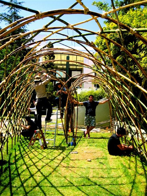 bamboo trellis for shade, climbers or walkway Wisteria Trellis, Teepee Trellis, Simple Trellis, Bamboo Stakes, Cucumber Trellis, Arch Trellis, Bamboo Trellis, Outdoor Trellis, Bamboo Structure