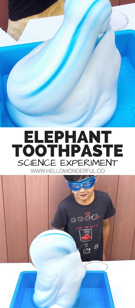 Elephant Toothpaste Science Experiment. Fun #scienceexperiment for kids! Watch the step-by-step process video. #STEM #STEMKIDS #stemactivites #stemscience #sciencefair #stemsciencefair Science Experiments Kids Elementary, Elephant Toothpaste, Experiments Kids, Science Camp, Summer Science, Science Experiments For Preschoolers, Science Club, Science Crafts, Chemistry Experiments