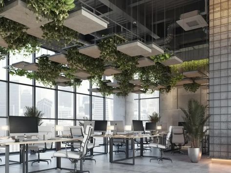 Lanai-Earth-CONTEXT-clouds-suspended-greenery-ceilings-2 Plants Ceiling, Office Ceiling Design, Semester 5, Biophilic Interior, Office Ceiling, Grocery Store Design, Acoustic Design, Room Acoustics, Biophilic Design