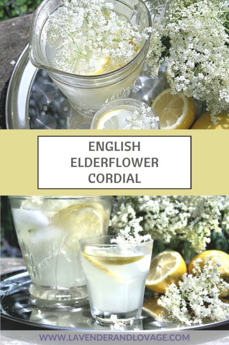 Old Fashioned English Elderflower Cordial - Lavender and Lovage English Dessert Recipes, Cordial Recipe, English Desserts, Elderflower Cordial, Foraging Recipes, Paleo Dishes, Country Recipes, Summer Drink Recipes, Heirloom Recipes