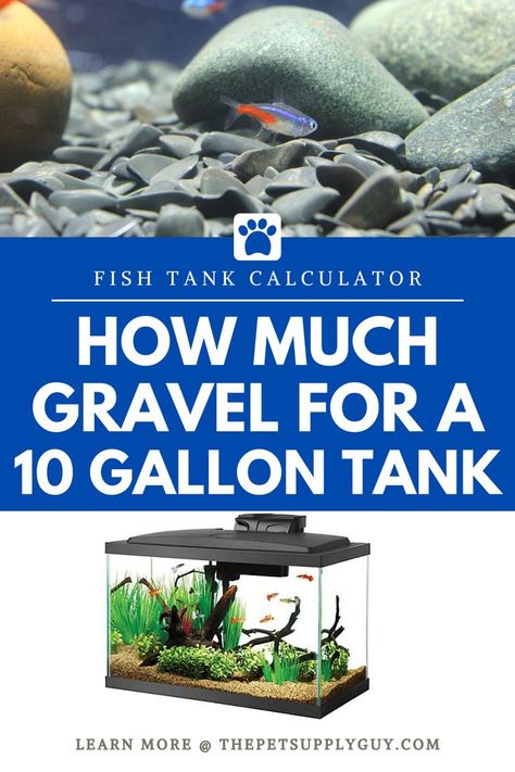 How Much Gravel for a 10 Gallon Tank - Fish Tank Gravel Calculator >> LEARN MORE @ ThePetSupplyGuy.com << #thepetsupplyguy #pet #pets #animal #fish #aquarium #fishtank 5 Gallon Tank, 10 Gallon Fish Tank, Fish Tank Gravel, Aquarium Gravel, Fish Supplies, 55 Gallon, Fish Care, Fish Aquarium, Tanked Aquariums