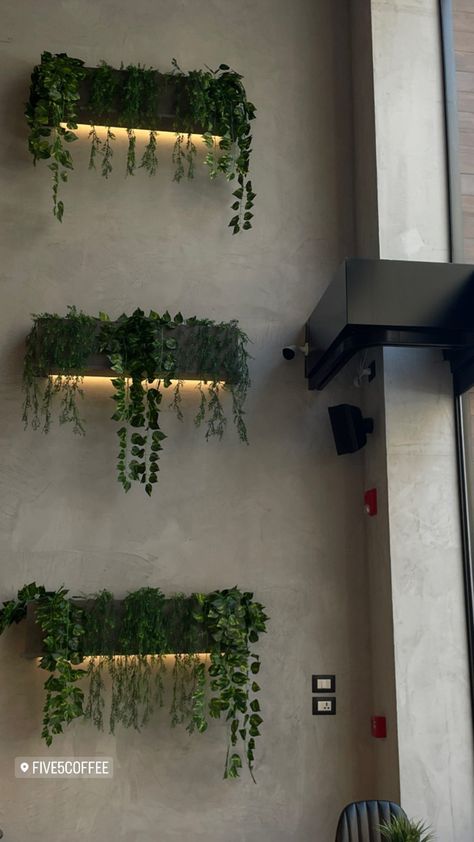 Wall Decor With Greenery, Indoor Ivy Wall, Kitchen Plant Wall, Plant Feature Wall, Planter On Wall, Plant Accent Wall, White Bedroom Design Ideas, Decoration With Plants, Gardening Tattoo