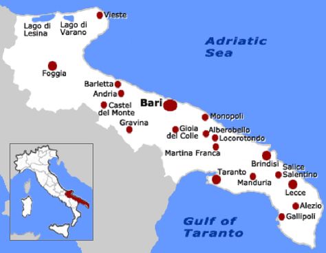 Wine Region Map, All About Italy, South Italy, Wine Map, Wine Knowledge, Wine Vineyards, Mediterranean Lifestyle, Wine Education, Italian Landscape