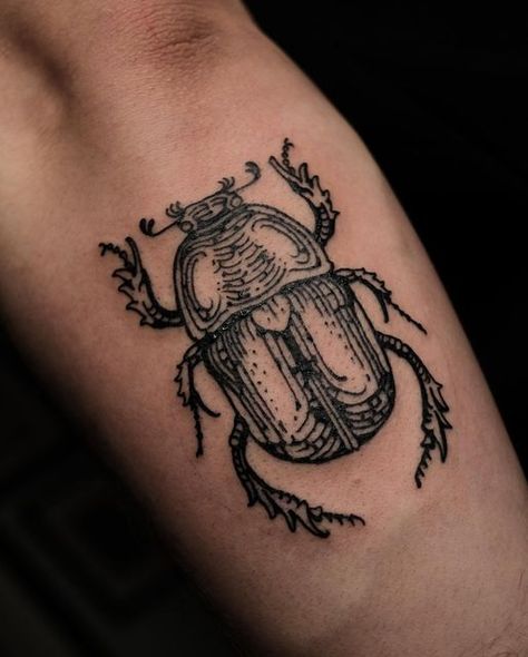 Fig Beetle Tattoo, Plant And Bug Tattoo Sleeve, Insect Knee Tattoo, Horn Beetle Tattoo, Beatle Tattoo Design, June Beetle Tattoo, Woodcut Style Tattoo, Crosshatch Tattoo, Dung Beetle Tattoo