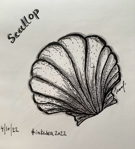 #inktober #inktoberchallenge #inkdrawing #scallops Drawing Tools, Ink Drawing, Digital Drawing, Tools, Drawings, Art, Design