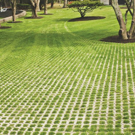 Grass Pavers Driveway, Concrete Paths, Grass Paving, Driveway Materials, Grass Driveway, Permeable Driveway, Grass Pavers, Permeable Pavers, Driveway Design