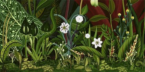 Katie Scott, Illustration Botanique, Colossal Art, Flowers Gif, Botanical Wallpaper, Common Themes, Blooming Flowers, Botanical Illustration, Colorful Flowers