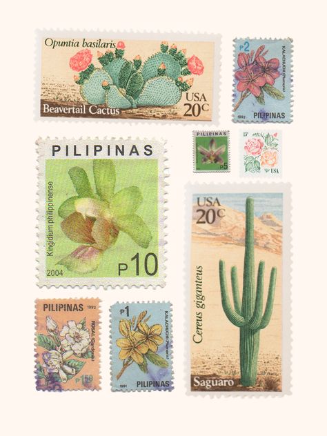 vintage stamp collection art: cactus stamps and floral stamps. Collage of various vintage stamps depicting various cactuses and floral blooms Postage Stamp Tattoo, Cactus Stamp, Stamp Tattoo, Vintage Cactus, Invite Ideas, Vintage Postage Stamps, Stamp Collection, Vintage Postage, Post Stamp