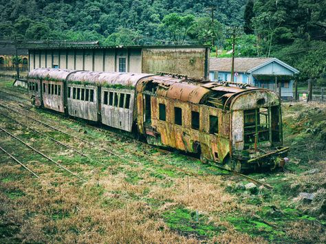 The remains of a British railway rusting in the jungle mist of a Brazilian mountainside. Abandoned Aesthetic, Steam Trains Photography, Abandoned Train Station, Photos Rares, Old Train Station, Abandoned Train, Railroad Photography, Abandoned House, Old Trains