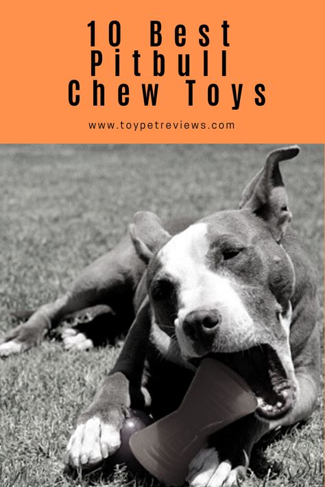 Cool Dog Toys, Homemade Dog Toys Durable, Diy Tough Dog Toys, Diy Dog Toys For Heavy Chewers, Dog Activity, Strong Dog Toys, Funny Dog Toys, Indestructible Dog Toys, Super Chewer Dog Toys