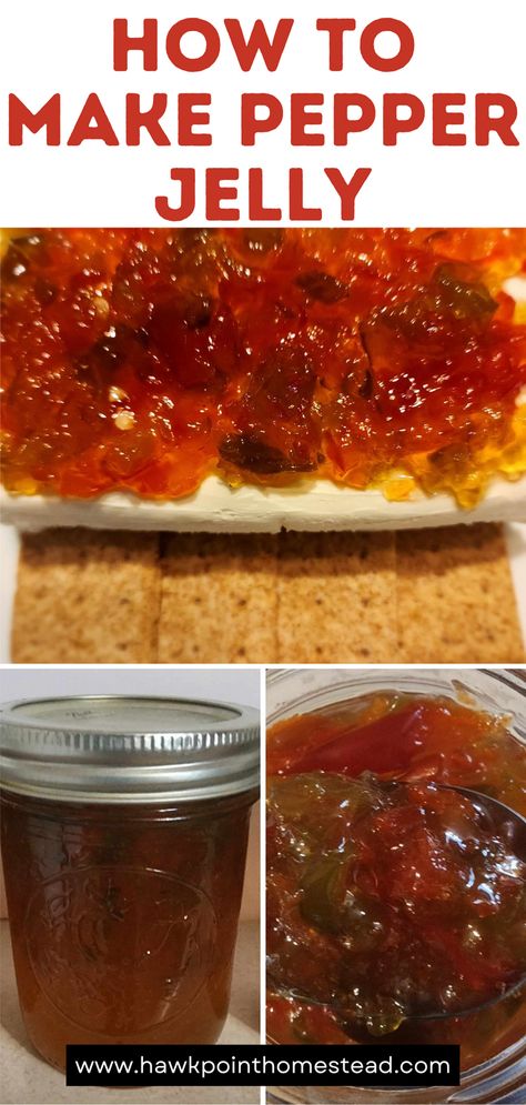 Pepper jelly is one of the greatest jelly recipes This sweet and spicy pepper jelly recipe is an easy recipe and results in such a delightful and delicious jelly. The pepper jelly is so wonderful to serve at any get-together. Pair it with cream cheese and crackers and no one can resist! Also great as a glaze on pork, lamb, beef or chicken!  Pepper jelly also makes a great gift for any occasion. You can also control the spice level and make it super spicy or mild. Thai Pepper Jelly, Sure Jell Pepper Jelly Recipe, Easy Pepper Jelly Recipe No Pectin, Spicy Pepper Jelly Recipe, Hot Pepper Jelly Recipe Cream Cheeses, Keto Pepper Jelly Recipe, Mild Pepper Jelly Recipe, Easy Hot Pepper Jelly Recipe, Christmas Pepper Jelly