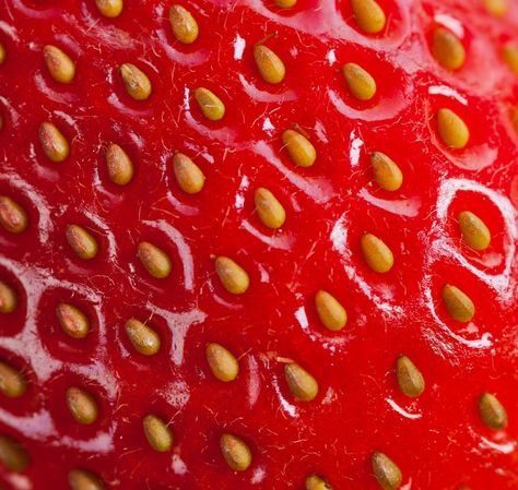 Strawberry Texture, Strawberry Background, Ingredients Photography, Strawberry Seeds, Baking Soda Face, Photo Macro, Strawberry Seed, Strawberry Flower, Strawberry Plants